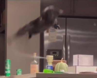 The Evasive Maneuver