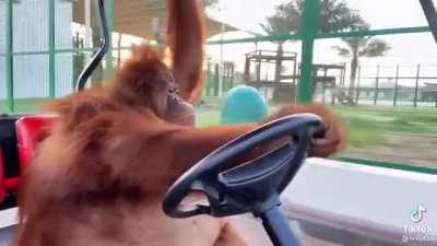 This is how we are heading into 2022