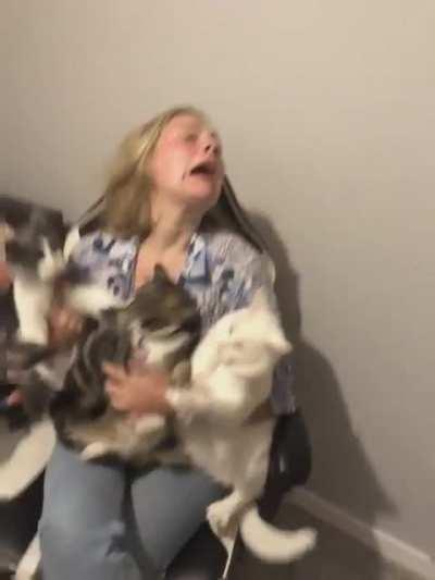 Taking cute pics with the cats