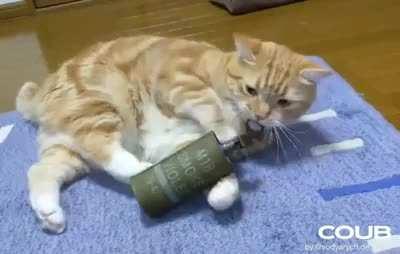 PBIED - Pussy-Borne Improvised Explosive Device