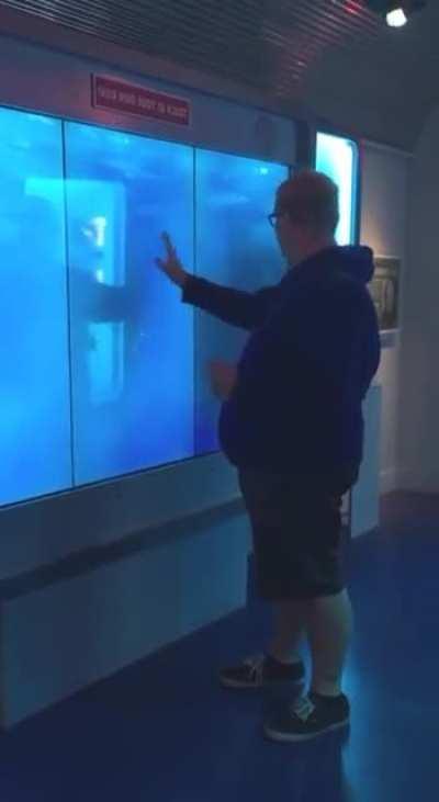 Man examines aquarium