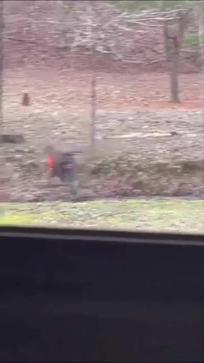 I almost saved it! (OC)