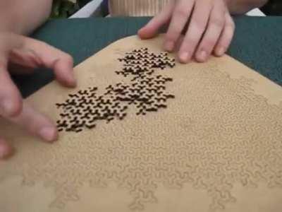 A Fractal Jigsaw