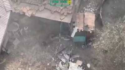 Urban combat: Ukrainian 12th Special Operations Brigade Azov (NGU) cleared a village in the Toretsk direction. Autumn 2024.