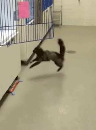 I've, uh, changed my mind