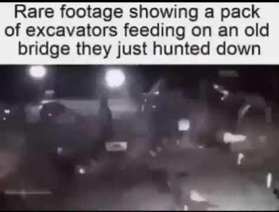 Nature at its finest