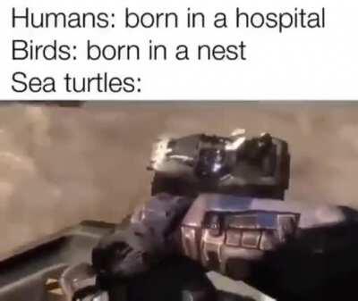 Credit to xmexicut on insta lol