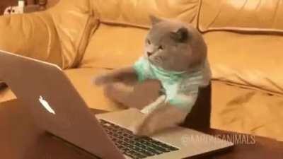 GameStop responding to all their private messages and mentions