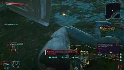 There was a cat fully underwater