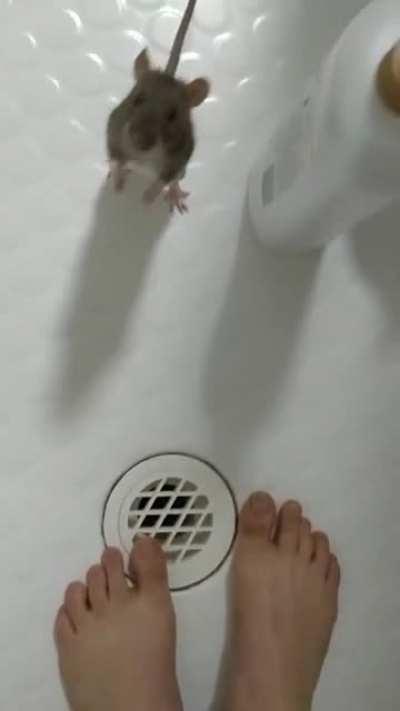 Too attached to let me shower without her 🤣