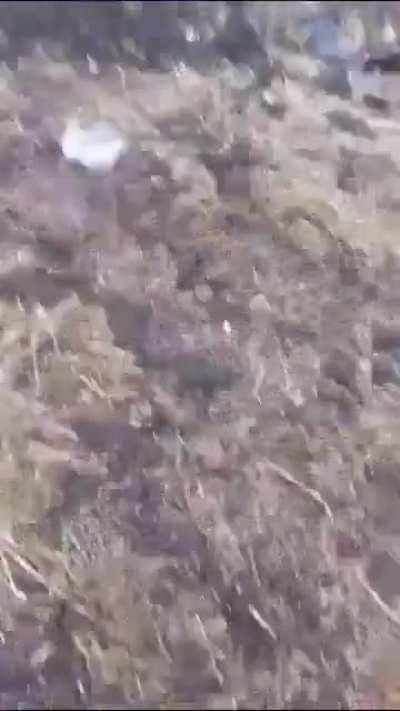 RUS POV: Close up on abandoned Bradleys and Leopards from the infamous bunched up convoy photo 