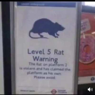 Just hit diamond for the first time I bet these lobbies are going to be insa-