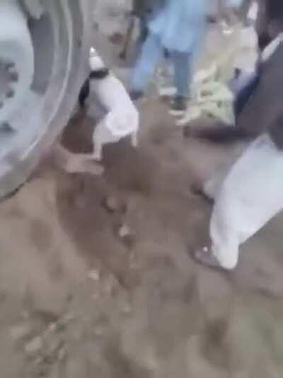 WCGO trying to stop dogs fighting?