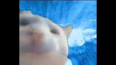 thank you spotify for recommending this song :D