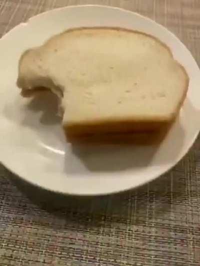 Support LGBTQ or.....