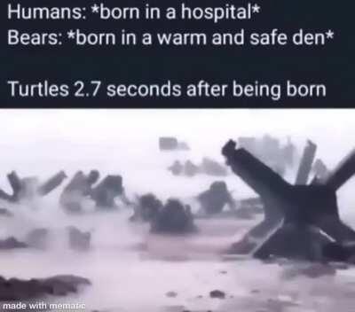 Support the REAL troops