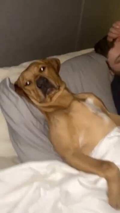 Dog has claimed this spot.