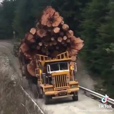 Alright which one of you was it!