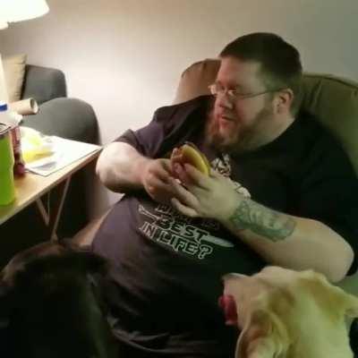 to keep the cat from eating his cheeseburger