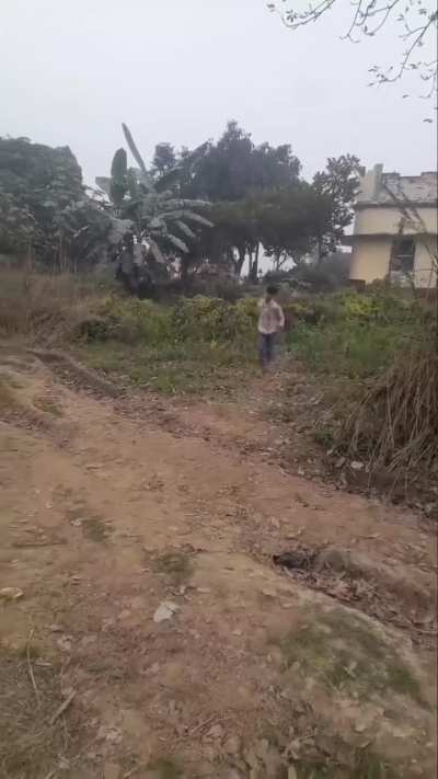 Even standing outside the net isn't safe