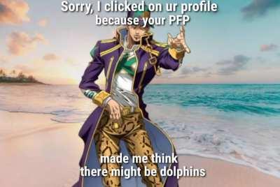 Jotaro, and Dolphin PFP