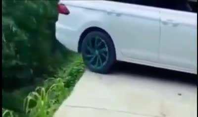 This person likes living life on the edge