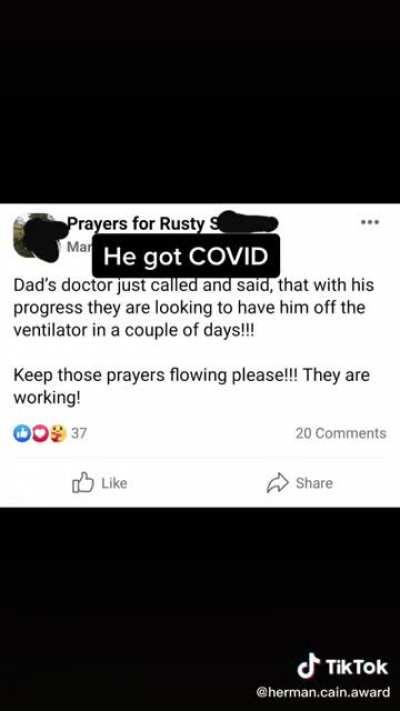 HCA has made it to Tiktok. Meet Rusty. (Not my video.)