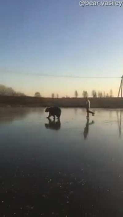 Let’s go bear skating