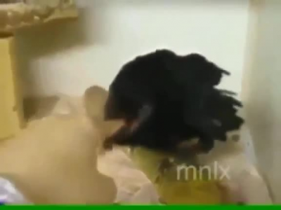 Look how cute this bird is!!