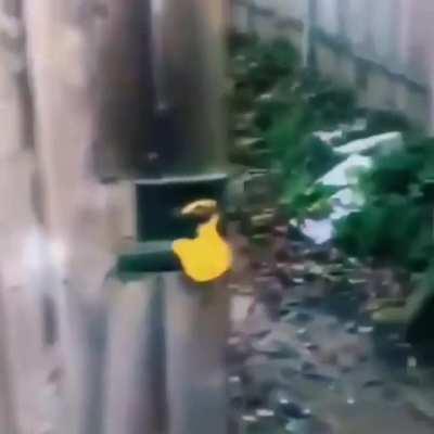 Fellas, I think we need to lay off the beer.