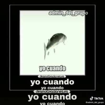 Yo cuando