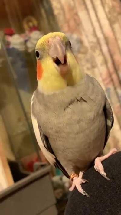 please tell pickle he’s very handsome