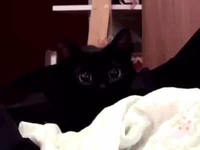 Wiggle wiggle wiggle