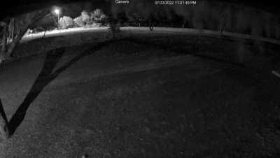 Here's the full video for my prior post. The figure in the top right has really spooked my girlfriend's cousin who lives alone at her ranch. Any idea what it might be?