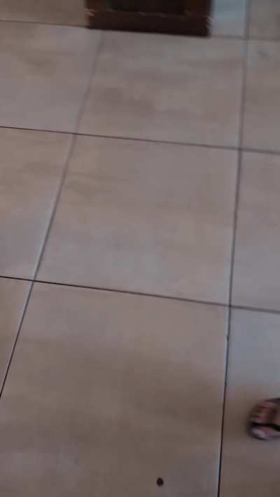 Last week I did the perfect video with my friend and a kind guy who wasn't against recording himself. What can I say except... You're welcome!!