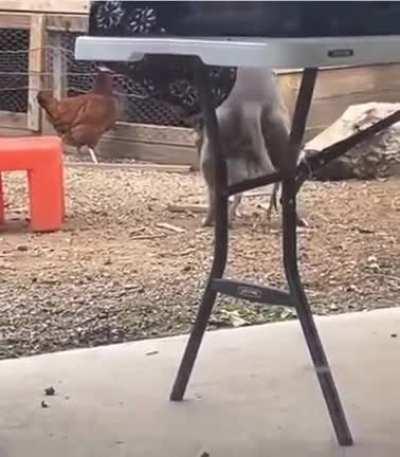 How Pitckens are made.