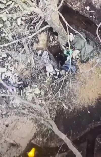 NSFW - Russian soldier crawls right into a drone dropped grenade. Ukraine 2023