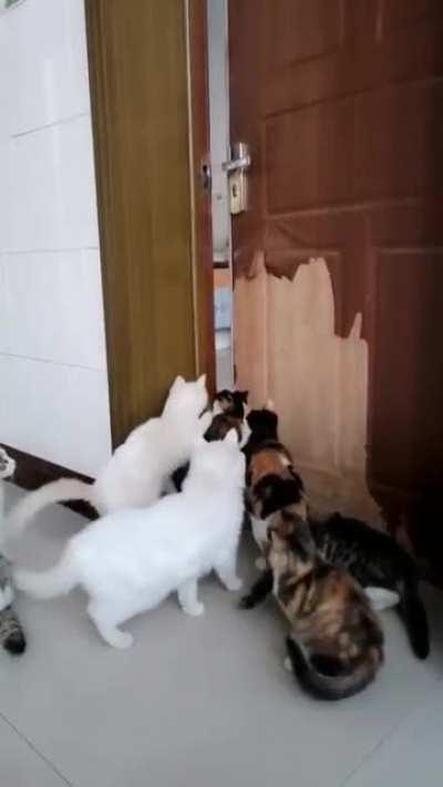 Как открыть дверь?