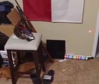 hold up, wait a minute