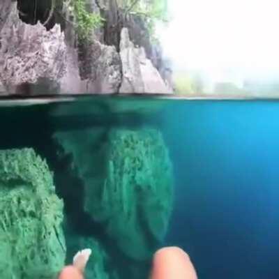 Swimming in barracuda lake