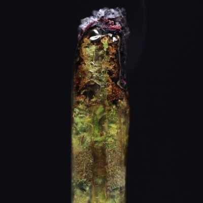 Captivating and oddly calming - weed being slowly burned