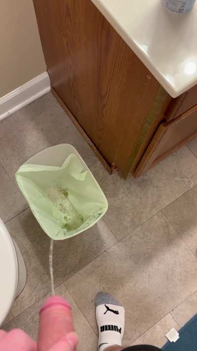 I started peeing in the toilet but the trashcan felt better