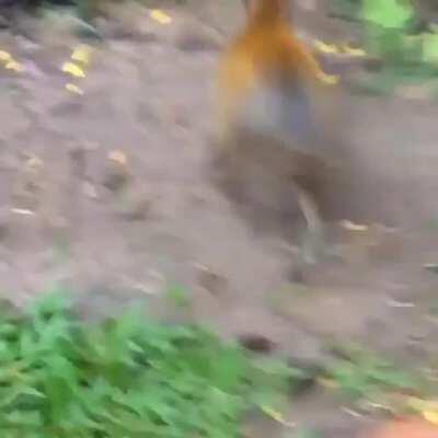 This subs first rape attempt