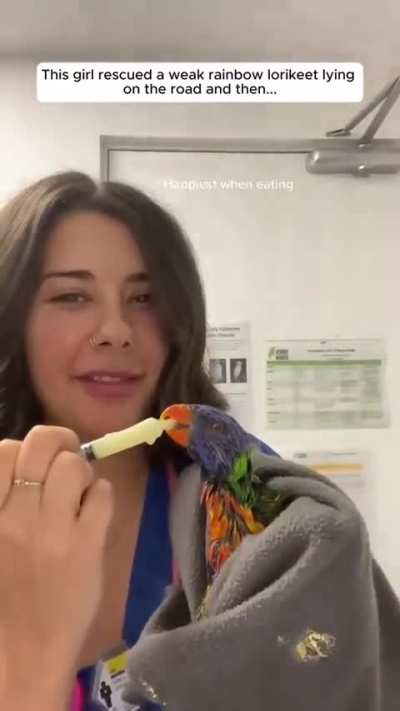 Lorikeet logic: You saved me, now here’s my entire contact list.