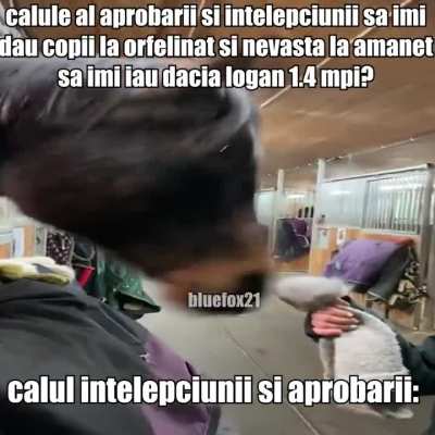 calule al aprobarii si incelepciunii sa imi dau copii la orfelinat?