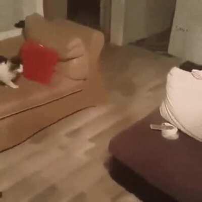 Yes I am sharing this again. It never stops bring a smile to my face. We all deserve a smile. :)