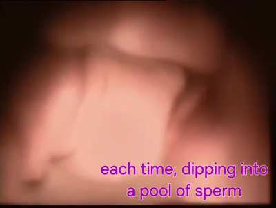 The fact this happens inside my body is insane. I didn't know my orgasm literally brings sperm into my womb 🥺