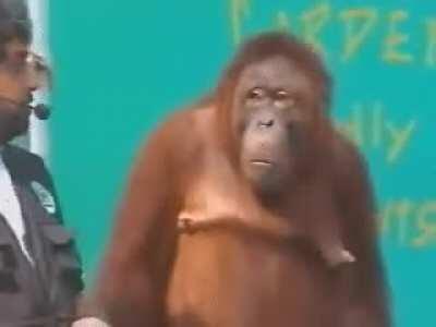 He's not with the script!