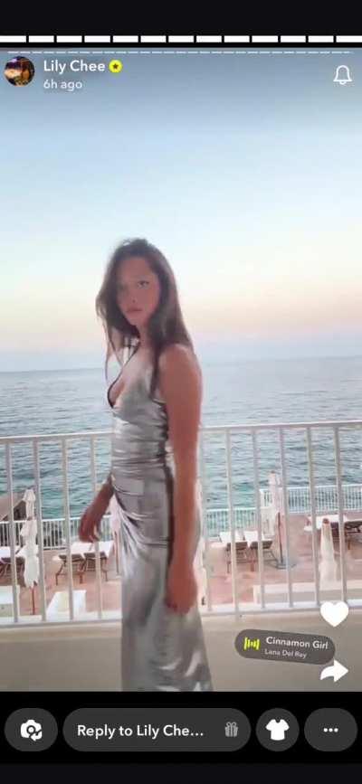 Lily Chee Silver dress vid