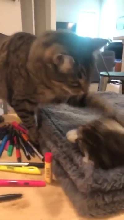 Love is a Complicated Thing